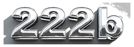 222b logo